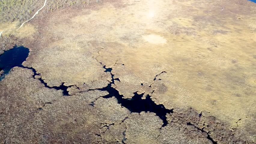 Aerial view of a small marsh near the city of Magog, Quebec, Canada