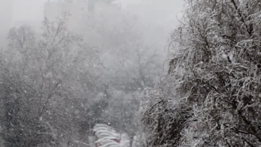 Snow falls in foggy weather. In the background, a snow-covered tree and a parking lot are visible. Snow in an urban setting. A winter idyll.