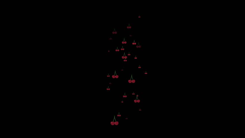 Shutterstock Video