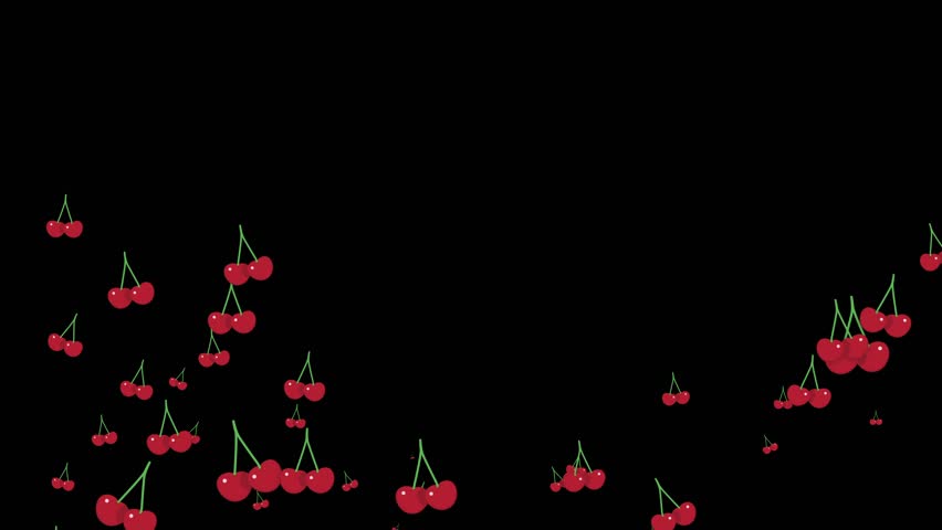 Shutterstock Video