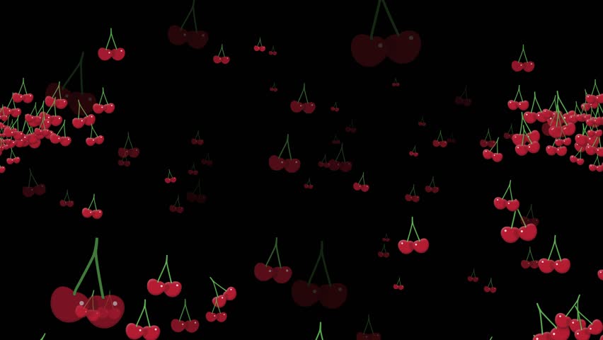 Shutterstock Video