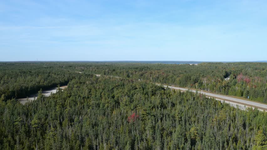 Overlooking the Woods in Michigan Upper Peninsula