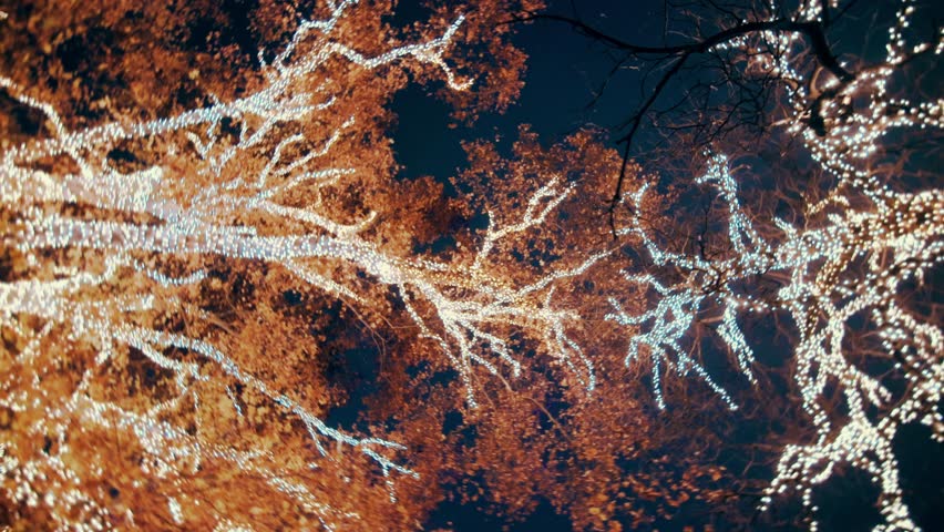 Christmas in Vienna, Austria at Rathauspark with colorful streets during evening blue hour and Christmas lights and decorations, happy people and tourists.