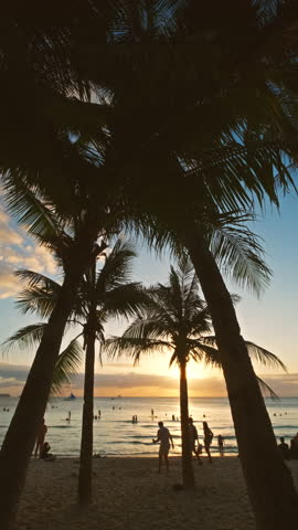 Silhouetted people and palms near sea. Sunset at tropical White beach, Boracay island, Philippines, slow motion. Vertical video 4k
