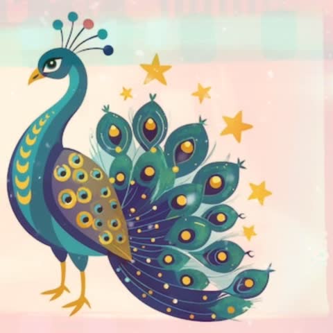 Cute Peacock Bird Animation Closeup