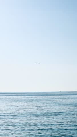 Two seagulls flying in a clear sky over the coastline, capturing the freedom and serenity of a peaceful seaside scene.
