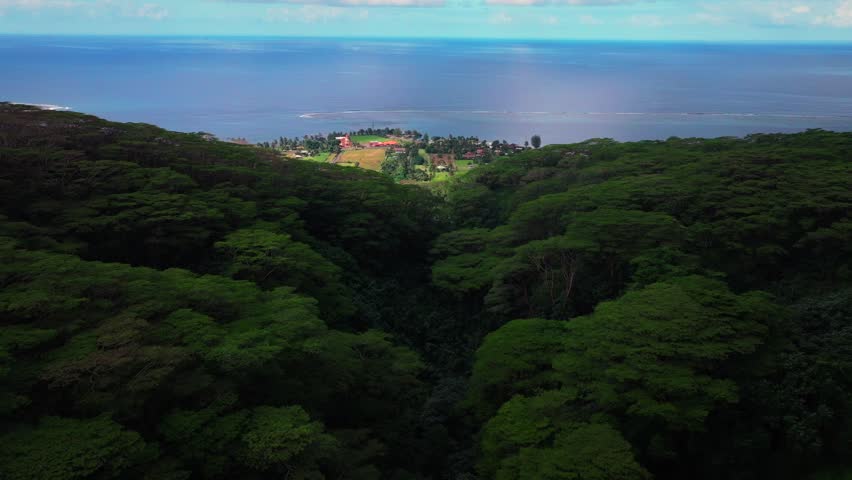 Big island Tautira Tiarei Papenoo farmland village Teahupoo Tahiti Society Islands tropical forests French Polynesia aerial drone South Pacific Ocean coastline banyan ceiba palm trees forward pan up