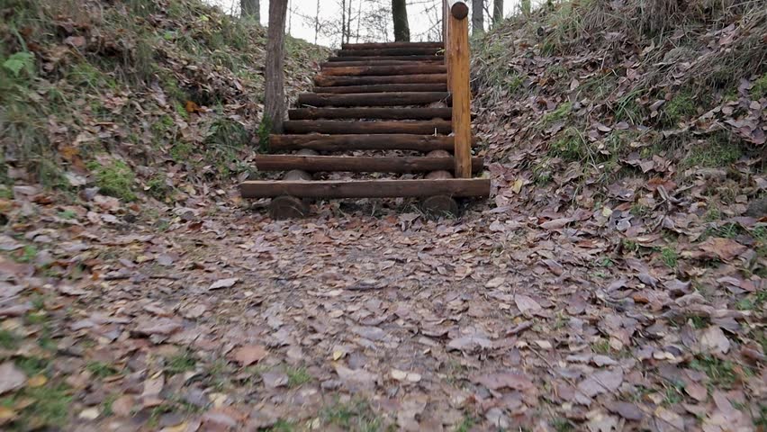 Autumn Path and Rustic Pine Staircase: Serene Nature Clip Peaceful Autumn Walk: Path to Wooden Stairs. High-quality stock footage.
