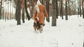 Young woman owner walking with her border collie dog with leash in winter park. Dog pet making a command, training new commands with owner. Portrait of a The Border Collie a British breed of herding - Powered by Shutterstock - Get 15% off with code: PIKWIZARD15