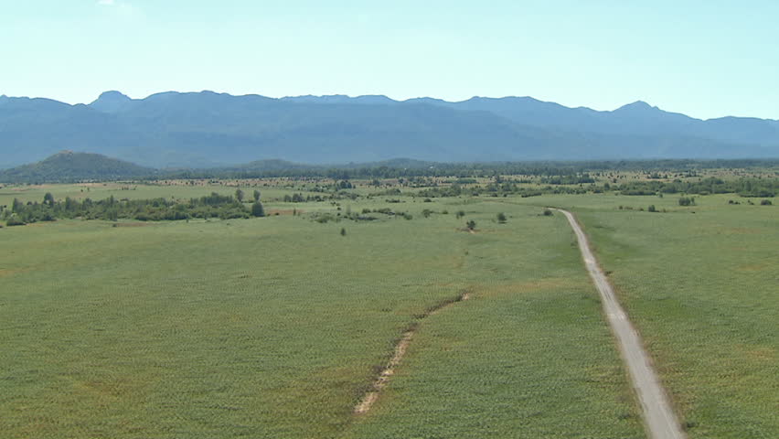 Flying low over green plains and forest. Aerial helicopter shot.