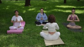 A group of women sits in the Lotus Pose, focusing on meditation and mindfulness in a serene park setting. This yoga session highlights balance, relaxation, and connection with nature, creating a - Powered by Shutterstock - Get 15% off with code: PIKWIZARD15
