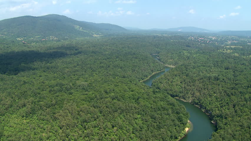 Aerial shot of a meandering river in the middle of dense vegetation