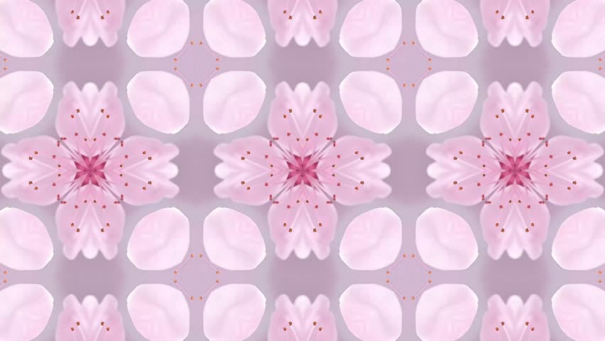 Pink blossoms create a stunning kaleidoscopic pattern. Symmetrical floral design ideal for backgrounds.