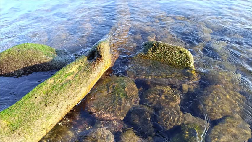 A view of Malalayang Dive Point Manado Beach, a rocky beach and mossy tree woods with clear water that sparkles in the morning sun.