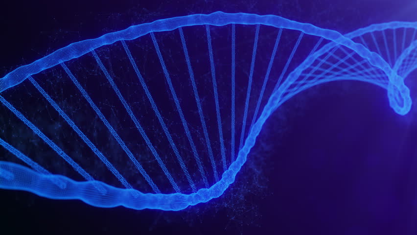 Fragmentation of the DNA genome from a half-life particle state to a normal state. An abstract 3d animated video for scientific presentations, showing a rotating DNA helix with its RNA particles. - Powered by Shutterstock - Get 15% off with code: PIKWIZARD15
