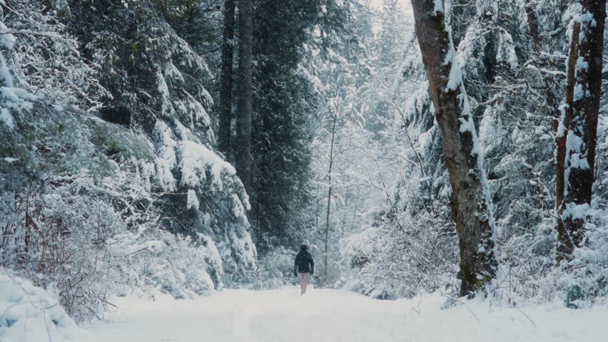 Winter forest. Person walk during snowfall. Slow motioned snowfall. Lonely man