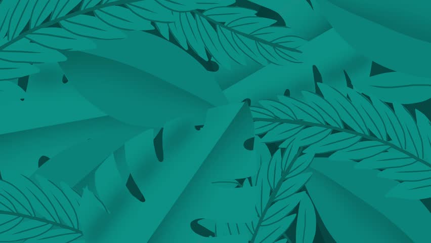 Shutterstock Video