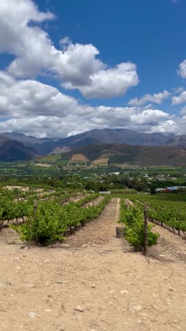 South Africa landscape, vertical video of panoramic view over the green vineyards outdoor in Franschhoek with mountain background and blue sky with clouds during summer at daytime in South Africa.