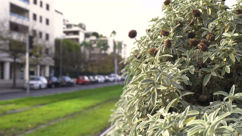 person with a low carbon footprint taking the French public transport tramway in Montpellier. High quality 4k footage