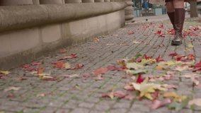 Autumn stroll on cobblestone path with fallen leaves in a vibrant park setting - Powered by Shutterstock - Get 15% off with code: PIKWIZARD15