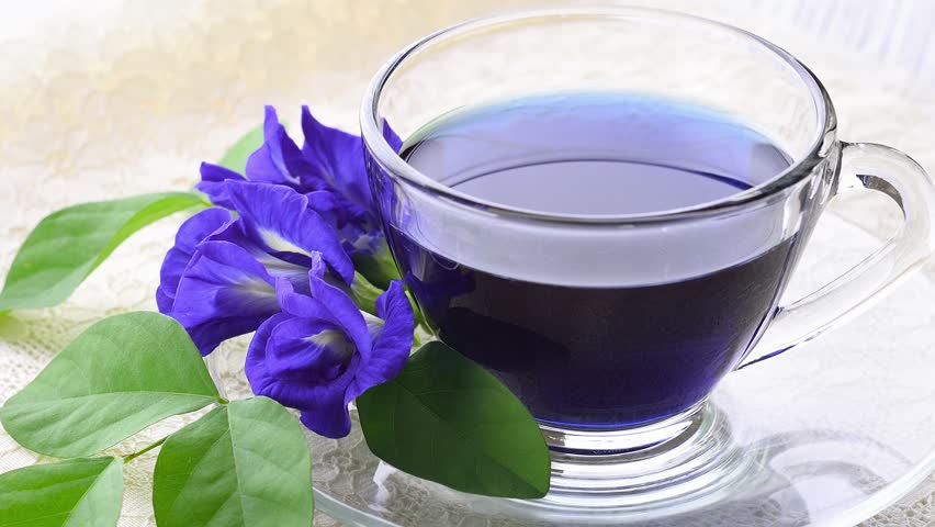 Butterfly pea juice for drink
