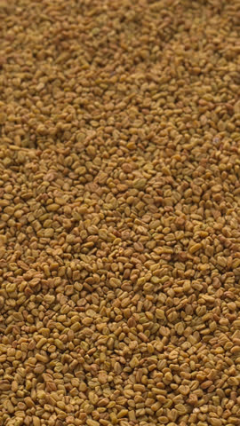 Fenugreek (methi) seeds as an abstract food texture. Table spin. Vertical video.