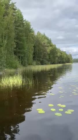 A serene lake in Scotland, surrounded by lush greenery and rolling hills. The water reflects the beauty of the natural landscape