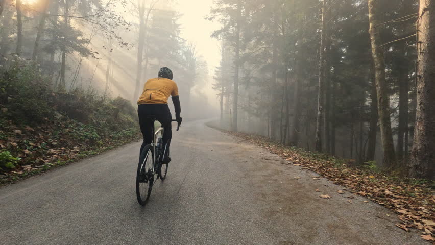 Male cyclist riding bike in morning forest back view tracking shot. Bicyclist cycling in woodland area with sunlit pine trees in fog