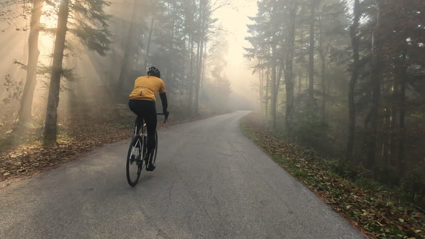 Male cyclist riding bike in morning forest back view tracking shot. Bicyclist cycling in woodland area with sunlit pine trees in fog