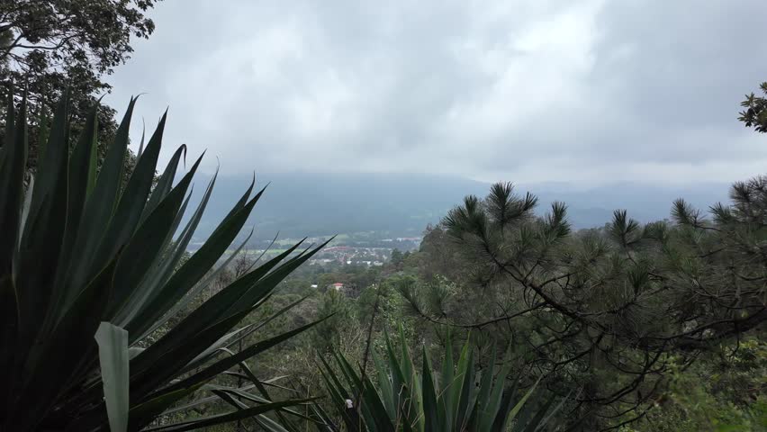 Scenic overlook captures lush greenery and cloudy skies in mountainous region