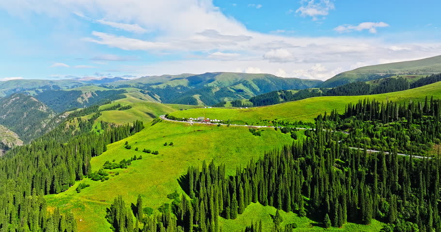 Aerial view of green meadow and forest with mountain natural landscape in summer. Beautiful scenery along the Duku Highway in Xinjiang, China.