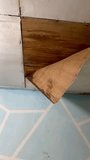 The house ceiling made of plywood peeled off due to rainwater. The house ceiling leaked. Water came out of the peeled off ceiling. House The plywood ceiling peeled off - Powered by Shutterstock - Get 15% off with code: PIKWIZARD15