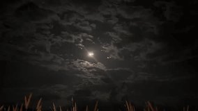 Full Moon Behind Dramatic Night Clouds Timelapse, A mesmerizing view of the full moon glowing through scattered dark clouds, with tall grass silhouetted in the foreground. - Powered by Shutterstock - Get 15% off with code: PIKWIZARD15