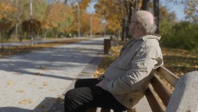 Old man with glasses and a beard finds solace on a park bench in autumn. The peaceful surroundings and vibrant foliage create a serene outdoor scene. - Powered by Shutterstock - Get 15% off with code: PIKWIZARD15