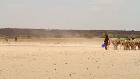A shepherd woman from Gabra tribe leading a herd of donkeys carrying loads - Powered by Shutterstock - Get 15% off with code: PIKWIZARD15