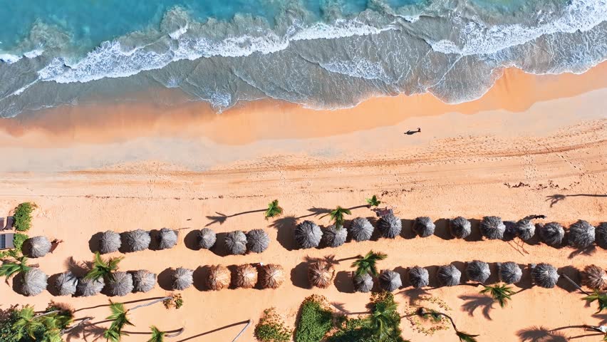 Sea sand beach on a sunny day in Sri Lanka. Tropical nature in summer landscape with palm trees and calm sea for relaxation. Beach parasols, aerial view Luxury travel landscape. A nice place to relax.