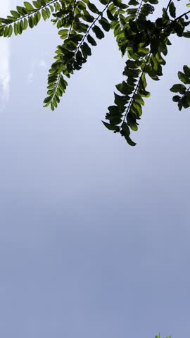 beautifu blue and clear sky up