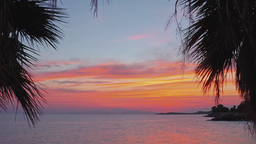 Palm tree on tropical island. Vibrant sunset sky