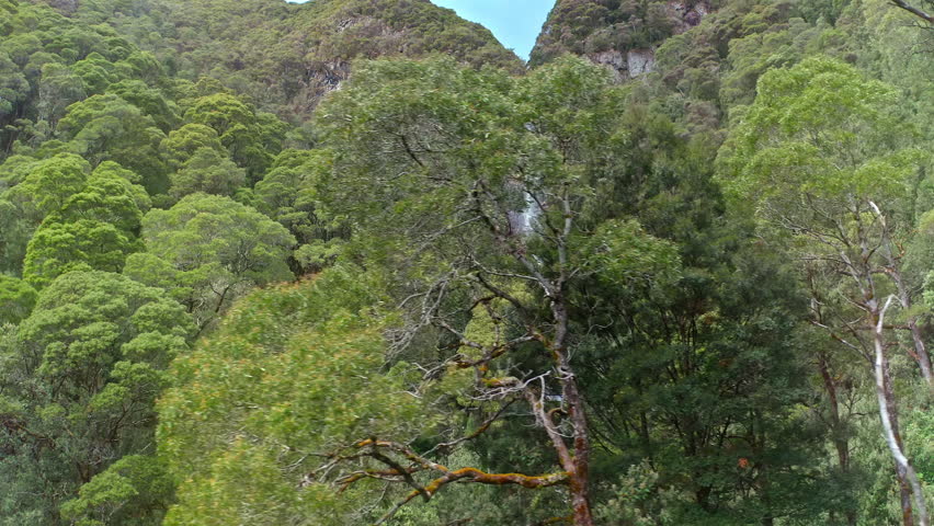 Waterfall travel nature landscape. Montezuma falls Tasmania Australia