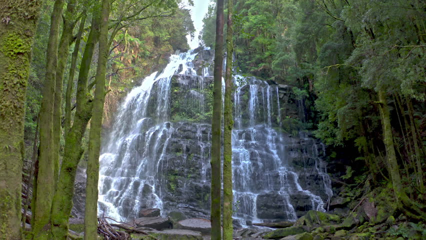 Spectacular Nelson waterfall cascade through mossy trees in Tasmania, Australia