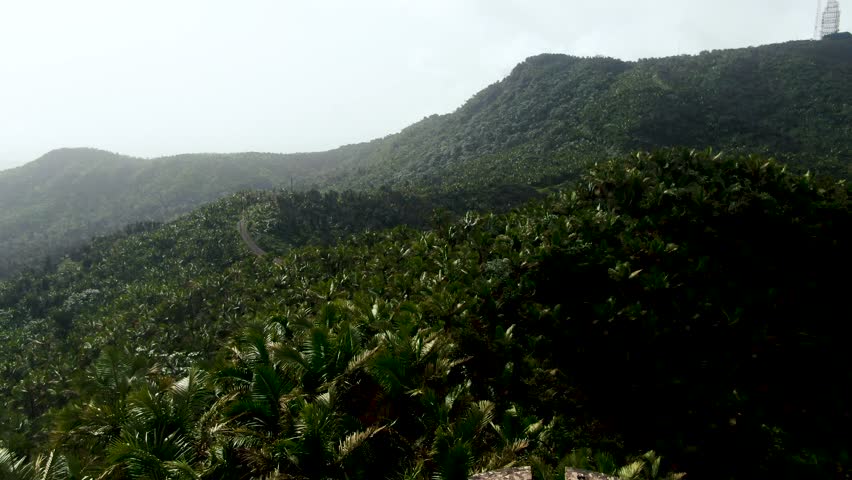 Aerial drone shot of lush vibrant rain forest landscape in Parque el Yunque