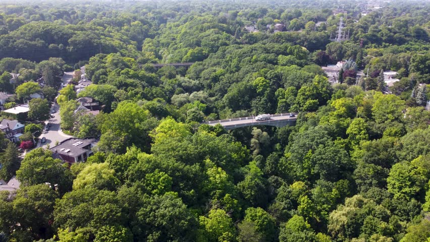 Aerial view of the bridge covered with trees 4K