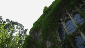 Old stone building with vitrage windows covered with green plants and sun rays above the building. Move camera - Powered by Shutterstock - Get 15% off with code: PIKWIZARD15