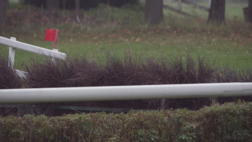Horses racing on a misty day, tearing up the grassy track with powerful strides. Close-up on hooves in slow motion during the autumn competition.