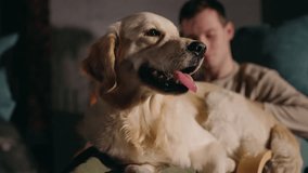 Young man relaxing in a cozy armchair by the fireplace with a large Golden Retriever sitting on his lap, enjoying a warm evening at home. High quality 4k footage - Powered by Shutterstock - Get 15% off with code: PIKWIZARD15