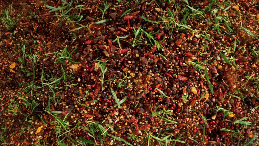 Super Slow Motion Shot Various Spices Mixture Exploding Towards Camera at 1000fps.