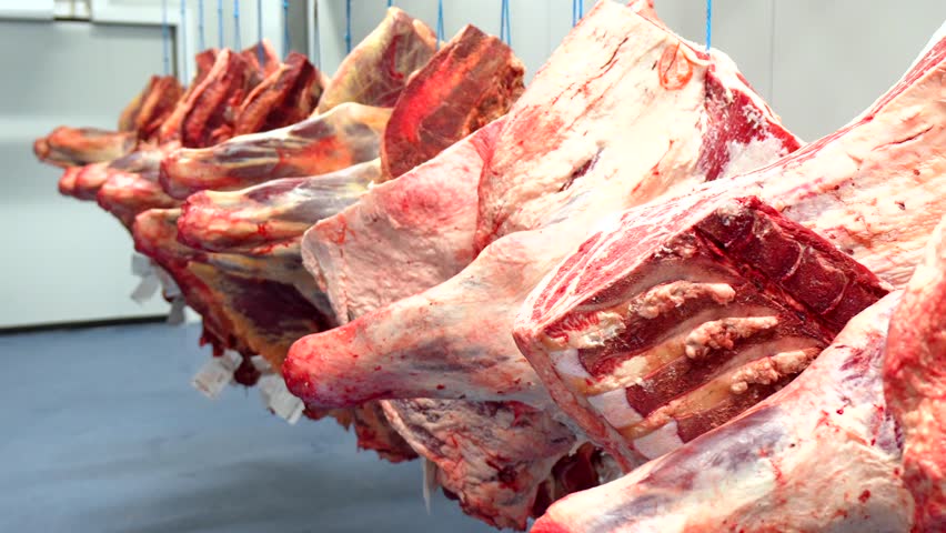 Pieces of meat hanging in line in a cold storage room of a meat processing factory
