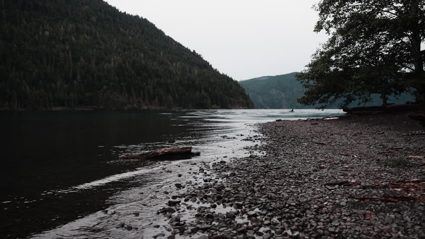 Views of Lake Crescent on a cloudy autumn day. Gentle waves ripple under moody skies, framed by mountains and vibrant fall trees.