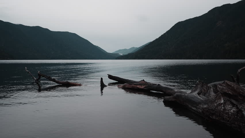 Views of Lake Crescent on a cloudy autumn day. Gentle waves ripple under moody skies, framed by mountains and vibrant fall trees.