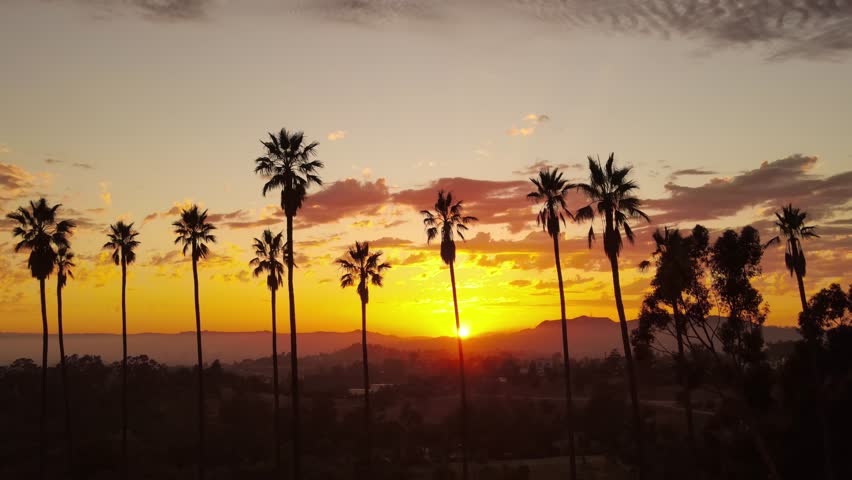 Aerial shot of dramatic clouds and the setting sun behind a row of palm trees. Los Angeles California.